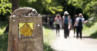 Shell sign marks the way for pilgrims walking and tasting the Camino de Santiago through Northern Spain