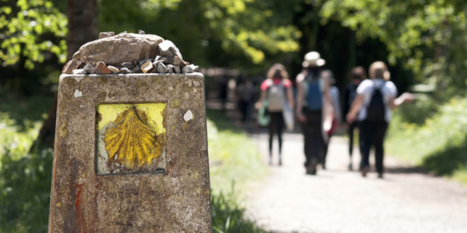 Shell sign marks the way for pilgrims walking and tasting the Camino de Santiago through Northern Spain