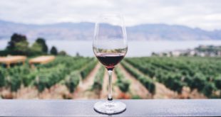 5 Best Italian wine regions you need to taste