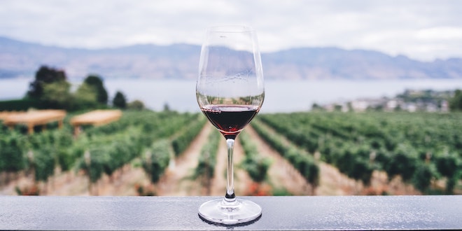 5 Best Italian wine regions you need to taste