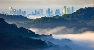 6 Top Rated Attractions in Panama