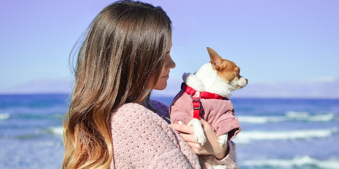 8 Tips to Plan a Safe Beach Vacation with your Dog