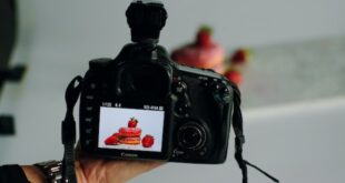 food photography courses