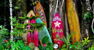 5 Do's and Don'ts for Planning a Trip to Hawaii