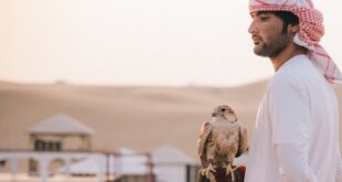 Discover Dubai's Amazing Desert Safari: Where Adventure and Peace Unite