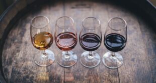 How to Prepare Your Palate for a Wine Tasting