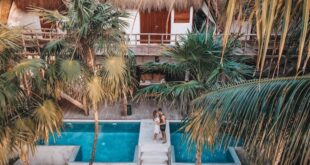 Delving into the World of Luxury Villa Rentals in Mexico