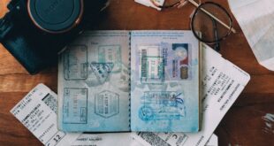 How To Prepare Your Passport To Travel Globally