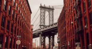 10 Best Things To Do In Brooklyn, New York City