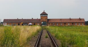 Auschwitz and Salt Mine Tour, Poland