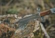 Bushcraft Knives and Their Uses In Survival Tasks