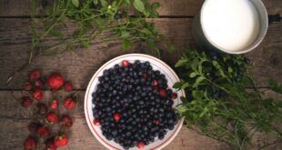 A Guide to Foraging Wild Berries