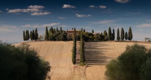 Culinary Marvels in Tuscany