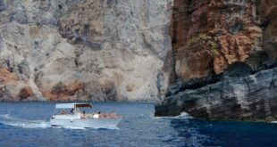 7 Reasons to Consider Booking a Boat Tour