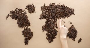 Guide to Major Coffee Regions and Flavors
