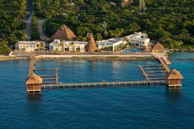 Dolphin Activities in Cozumel, Mexico