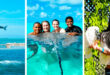 Enjoy Grand Cayman Activities with your family