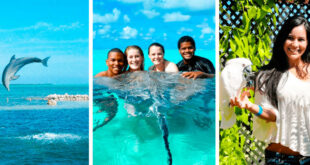 Enjoy Grand Cayman Activities with your family